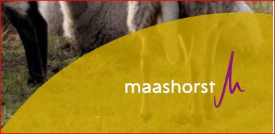 Afvalkalender Maashorst in de app: DeAfvalApp